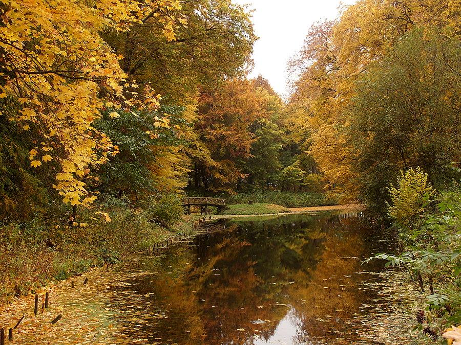 Park w stylu angielskim przy pałacu Sierakowskich w Waplewie Wielkim