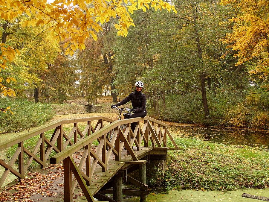 Park w stylu angielskim przy pałacu Sierakowskich w Waplewie Wielkim