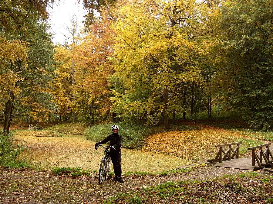 Park w stylu angielskim przy pałacu Sierakowskich w Waplewie Wielkim