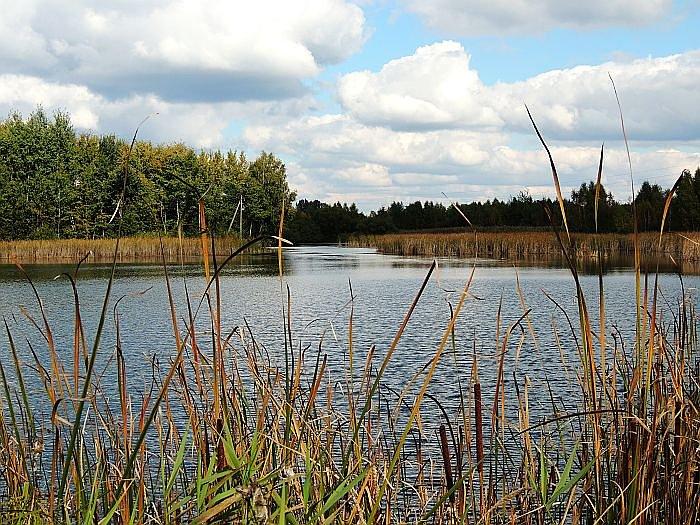 Jezioro w Kamionce