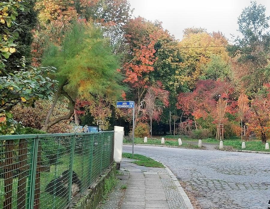 Na roku ulic Prusa i Kochanowskiego
