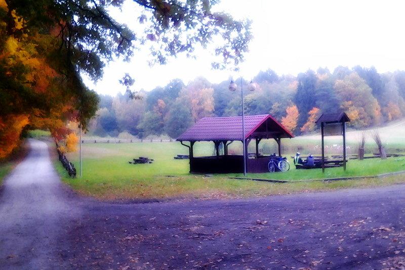 Nadleśnictwo Bukowiec