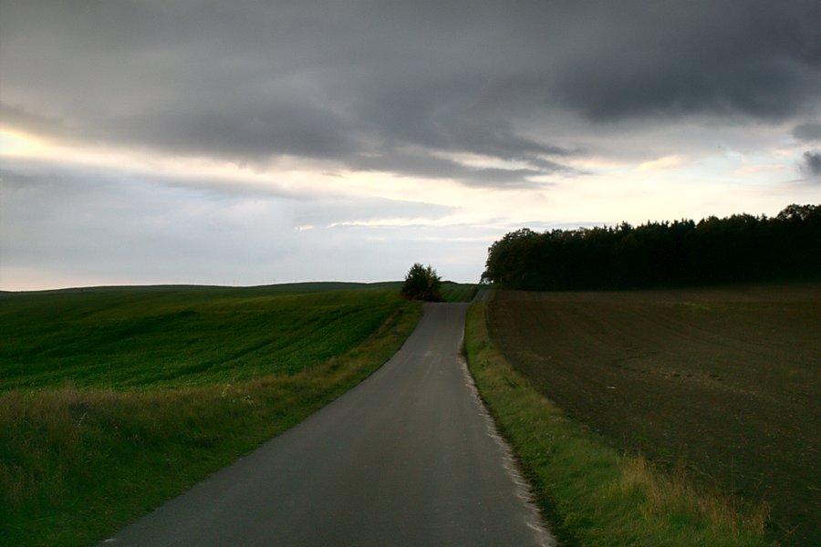 W drodze