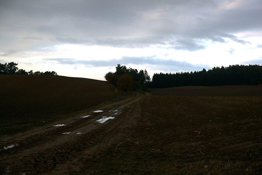 W drodze