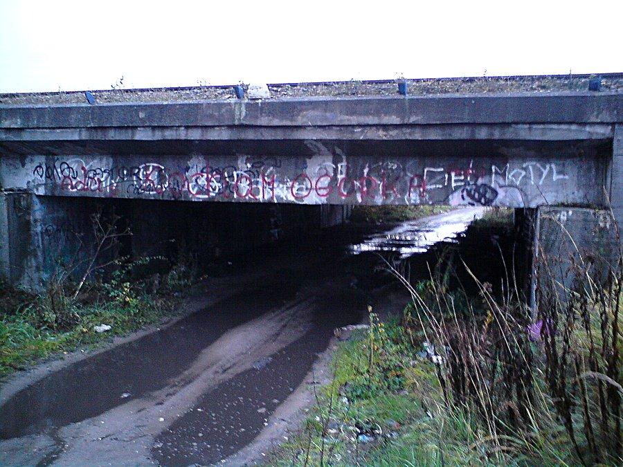 Niski tunel