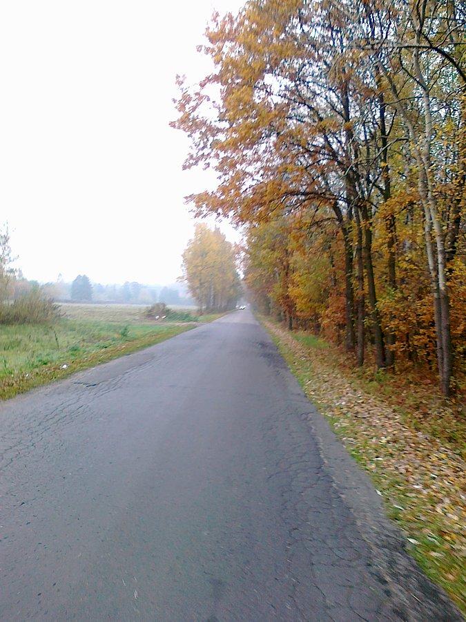 Zaczyna się jesienna szaruga