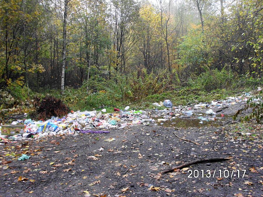 Ustawa o zagospodarowaniu odpadów w praktyce – w lesie kochłowickim przy drodze na Radoszowy – ulica Gościnna