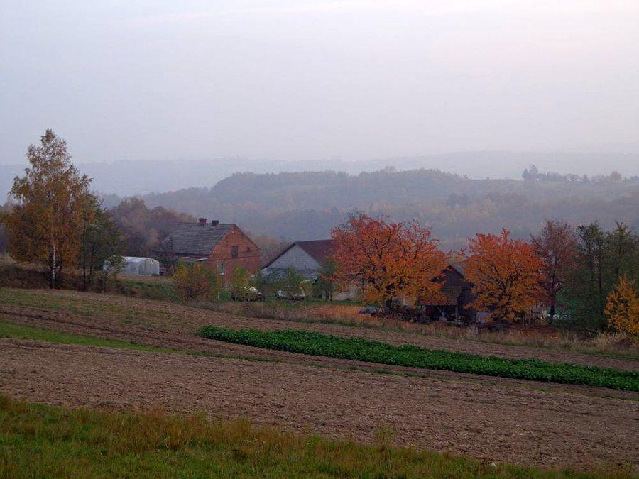Jesienny spojrzenie na pogodę