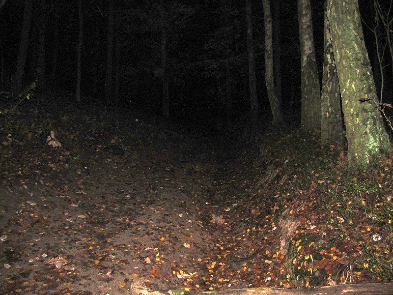 Nocne podjeżdżanie na Dziewiczą Górę
