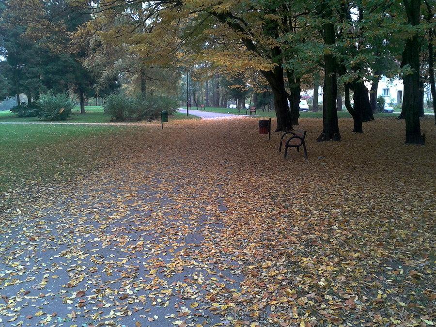 Park jesienią, piekne kolorowe liście