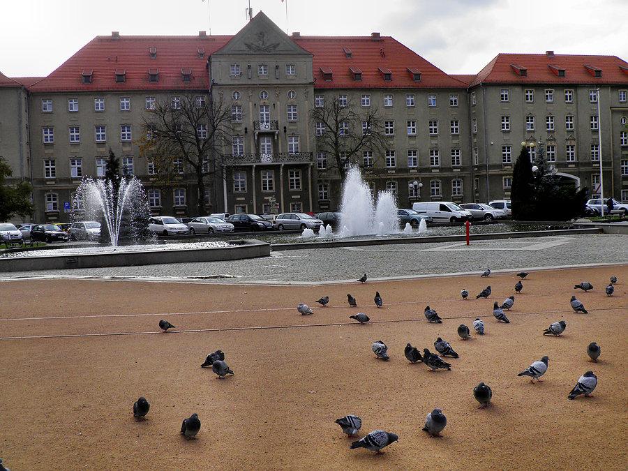 Urząd Miasta Szczecin od strony Jasnych Błoni