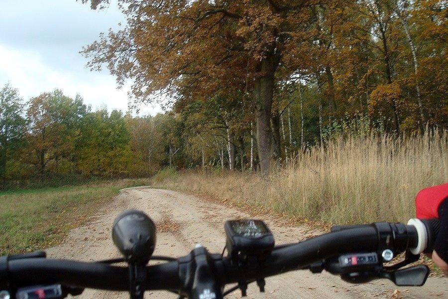 Droga ze Stawin do Ziemomyśla