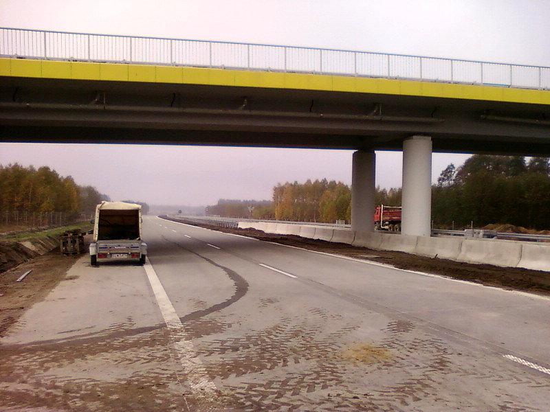 S8 - Guzew