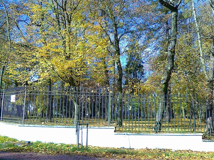 To też Pass. Za ogrodzeniem jakiś pałacyk