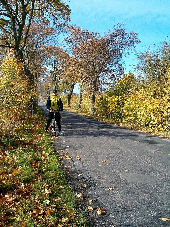 19-10-2013. Sobotnia wycieczka. Gdzieś na drodze za Radostowem, piękna złota jesień charakteryzująca się wieloma kolorami na drzewach