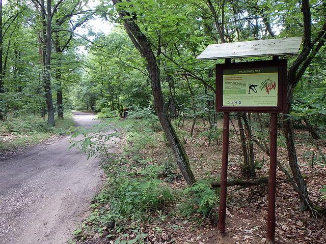 Jeden z przystanków Zielonej Ścieżki Zdrowia w Barbarce