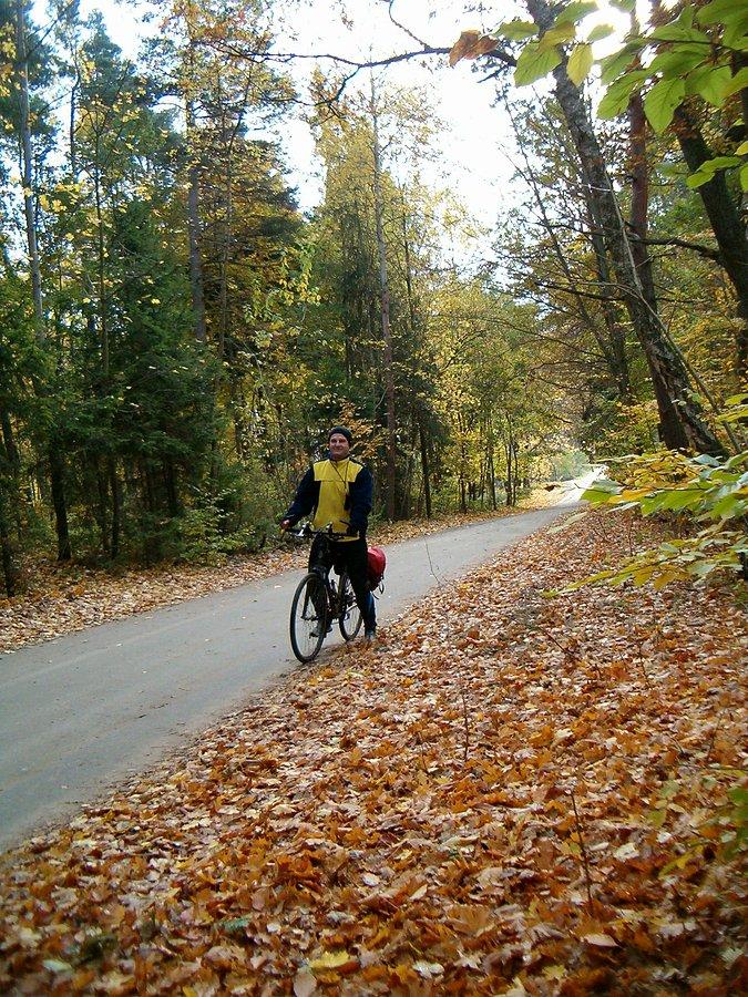 19-10-2013. Sobotnia wycieczka. Na drodze leśnej międzi Waćmierkiem a Śliwinami