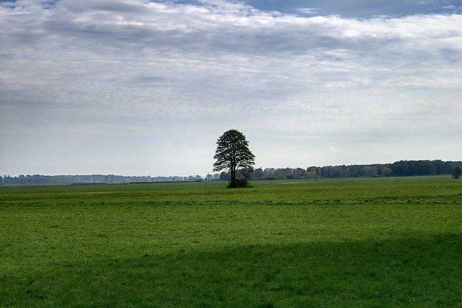 Przydrożne widoki