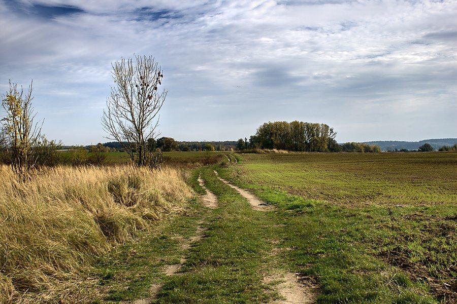Droga polna Sadłowo - Suchań