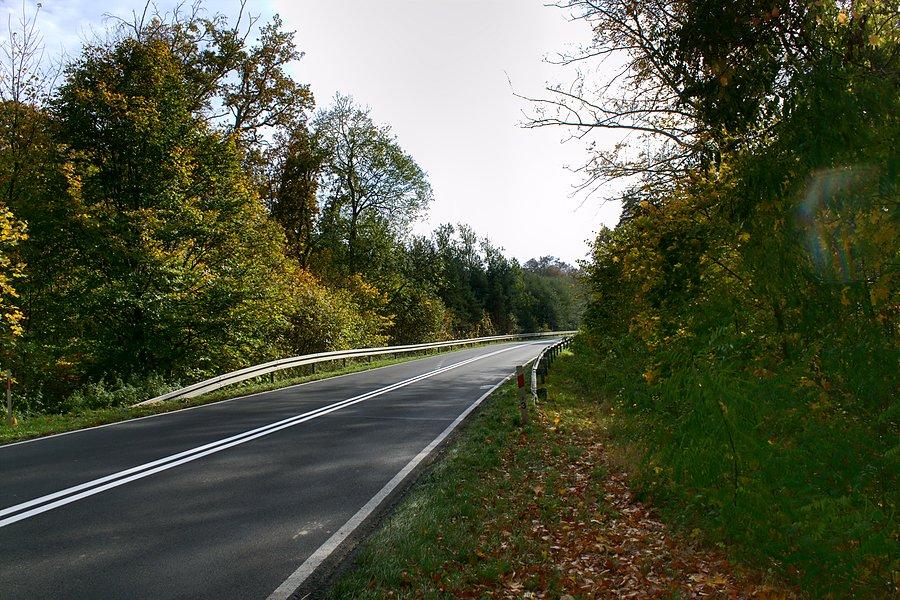 Droga Suchań - Piasecznik