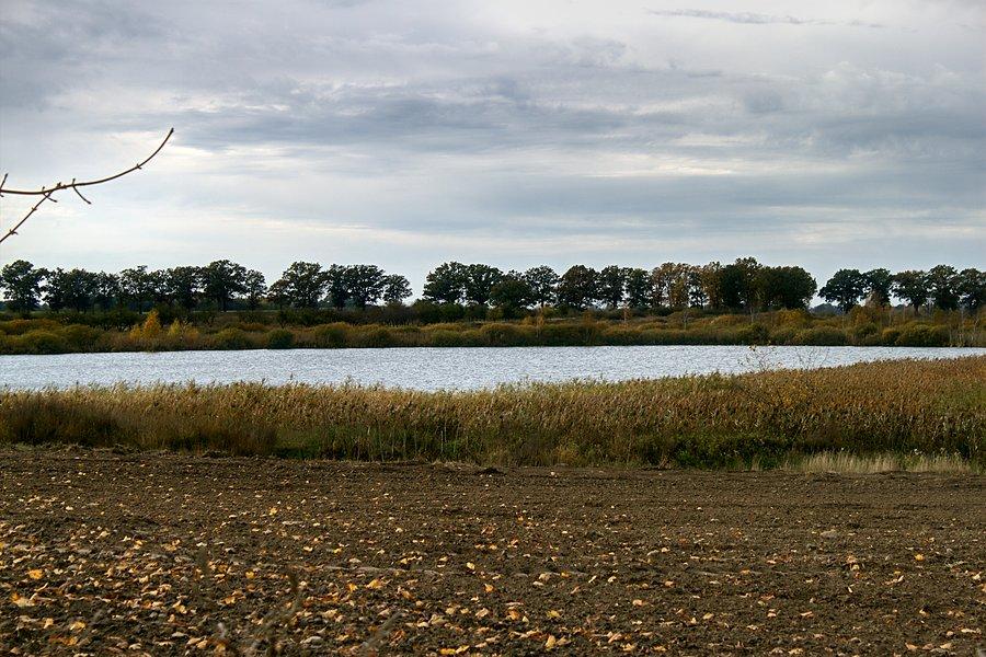 Przydrożny staw