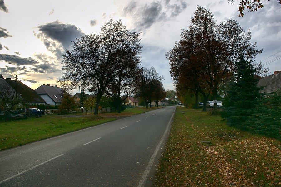 Witkowo Drugie