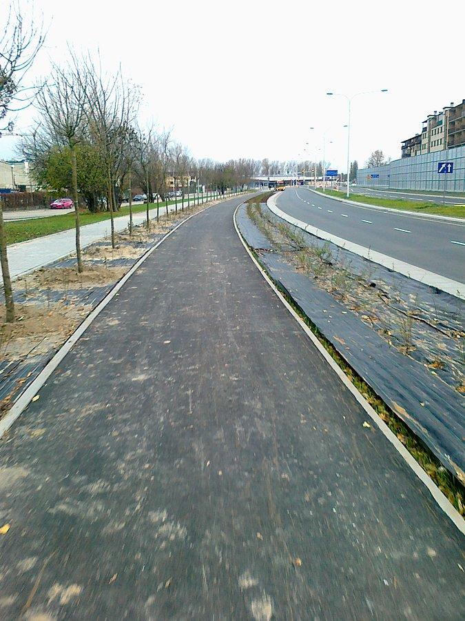 Nowa ddr, zasadzone drzewa i krzewy