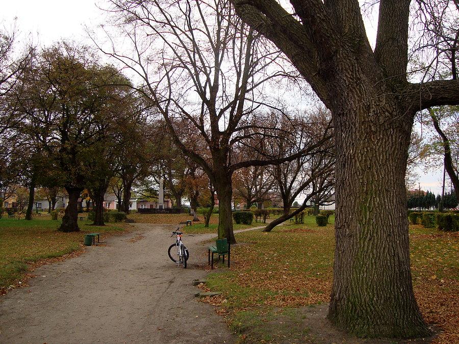 Mały park w Choczu