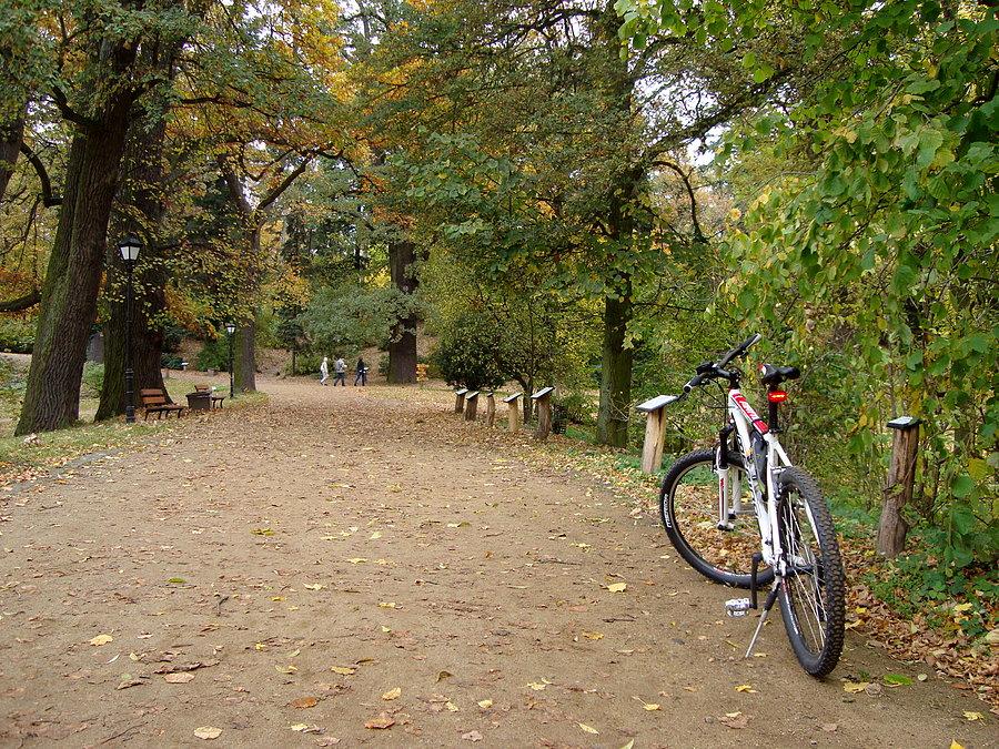 Park w Gołuchowie