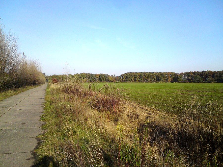 Gdzieś w polu