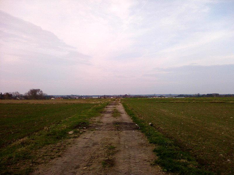 Pośrodku pól