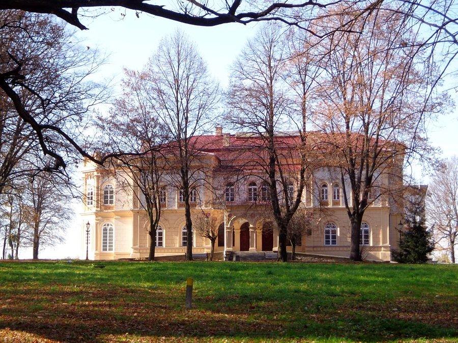 Pałac w Tyczynie