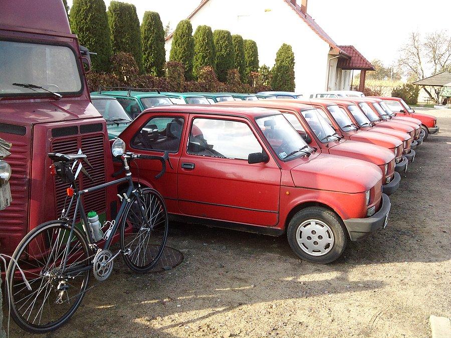 Czekają na lepsze dla nich czasy ... !