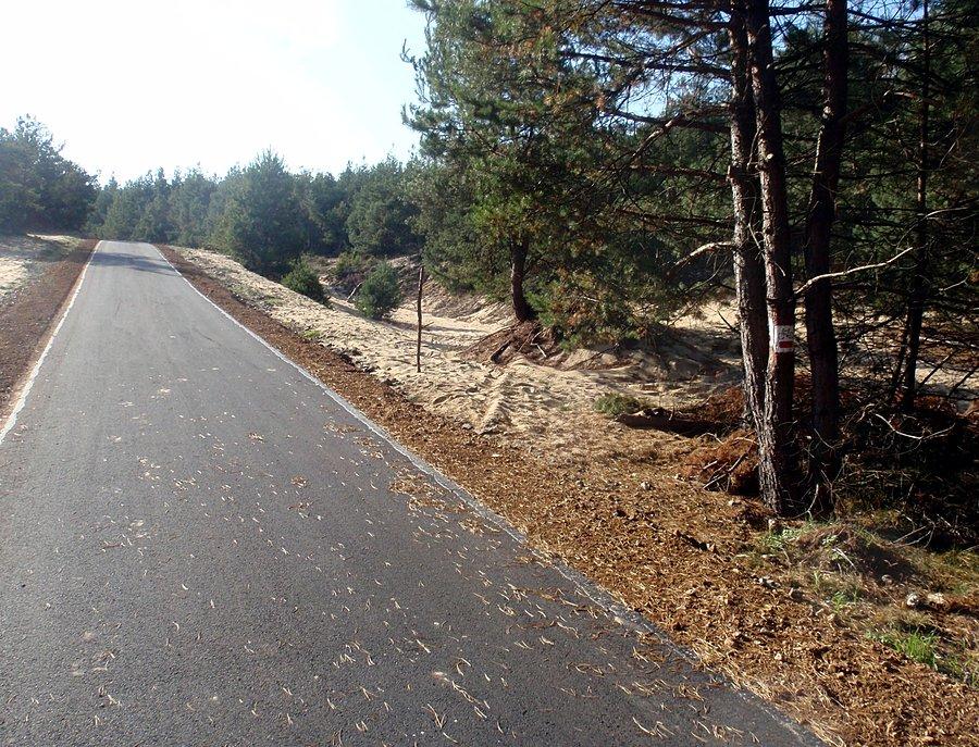 Fragment czerwonego szlaku rowerowego