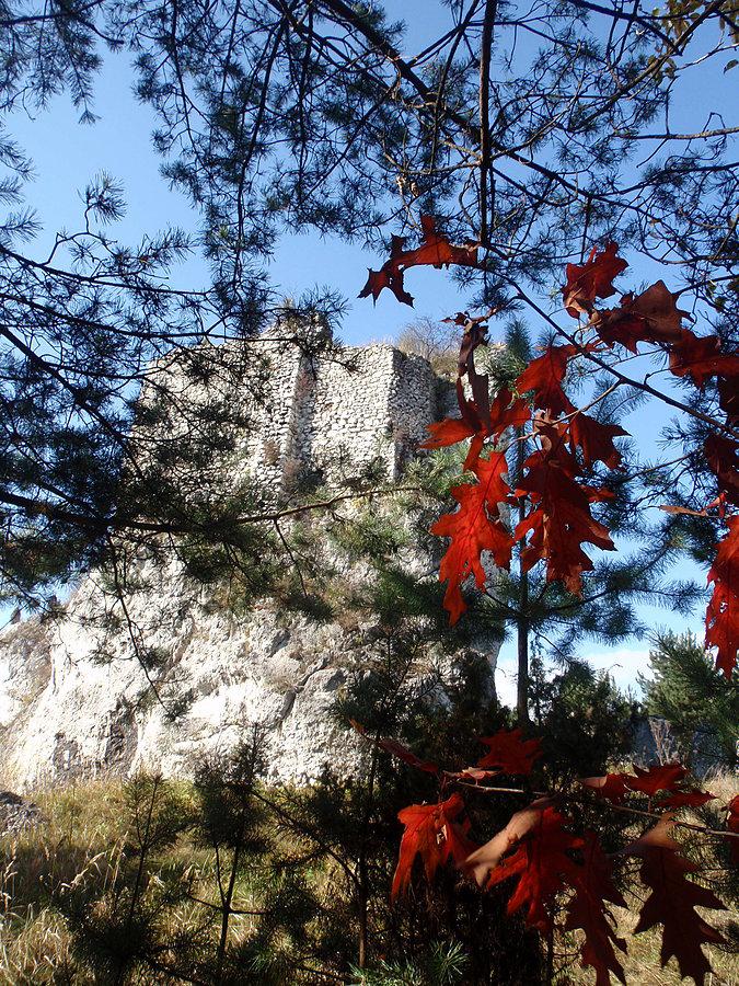 Przewodziszowice z jesiennym akcentem