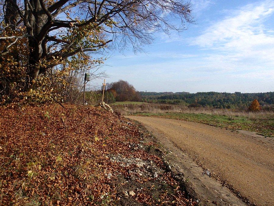 Żółty szlak z nową, szutrową nawierzchnią