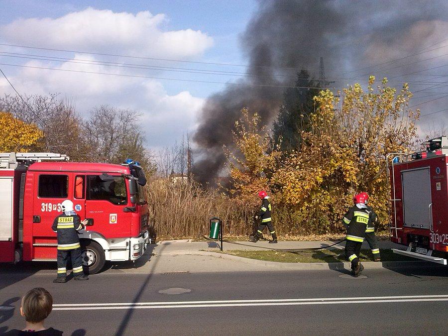 Palonca sie trawa na ul Wrzesinskiej