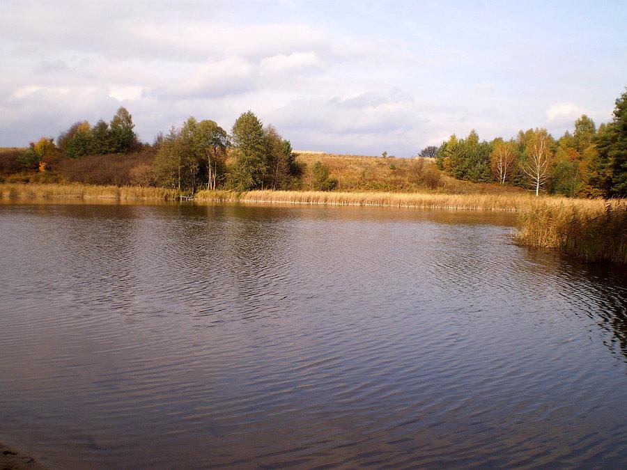 Taki tam widok