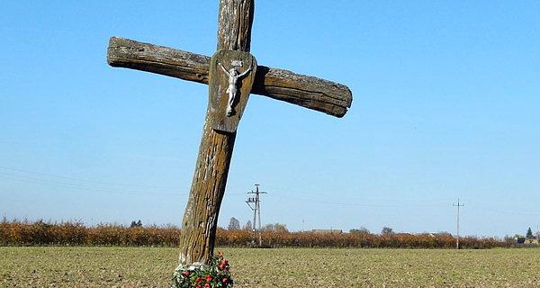 Krzyż w polu. Witulin Kolonia