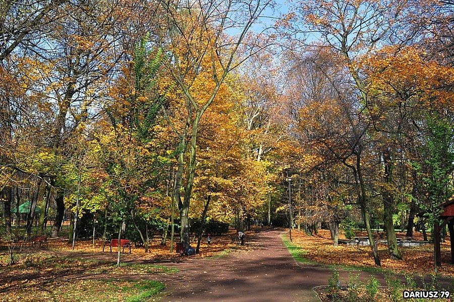 Bytom - Park Miejski im. F. Kachla