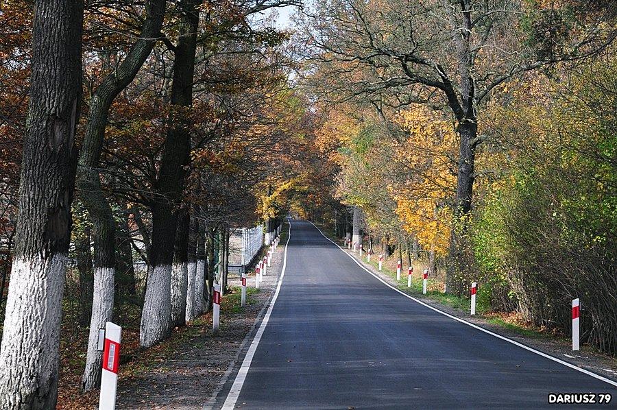 Bytom ul:Dąbrowa Miejska