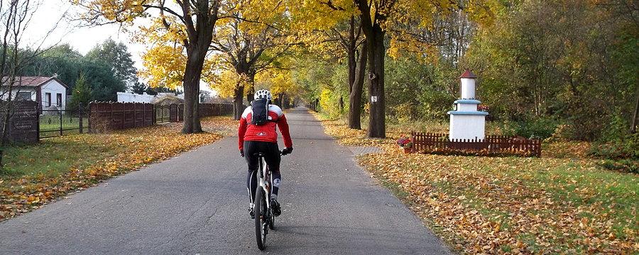 Trip przez Puszczę Zielonkę