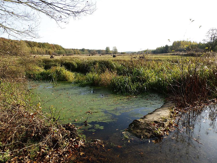 Bagno na Łąkoszycach
