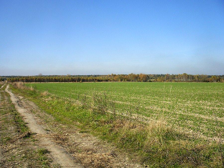 Polska złota jesień