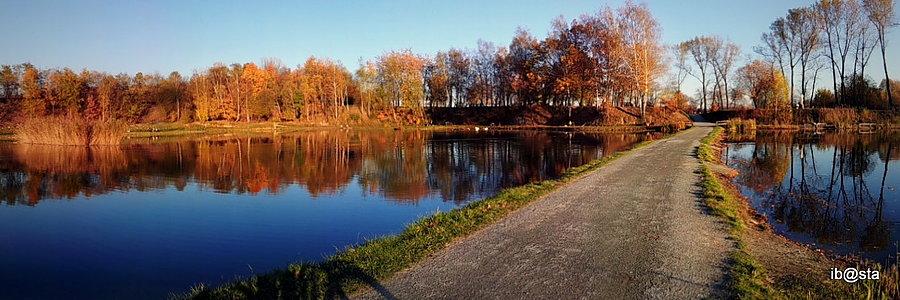 Staw Rzęsa - Bażantarnia
