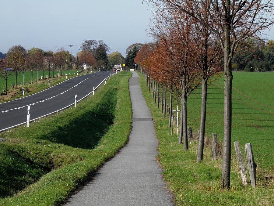 Trasa do Pasewalku jest bardzo ruchliwa a ścieżek rowerowych mało