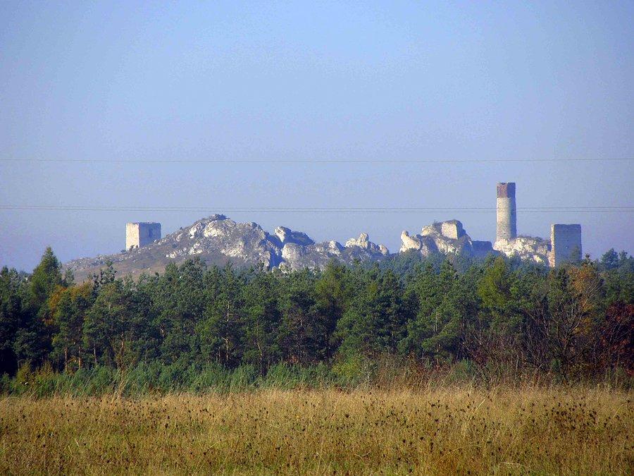 Zamek w Olsztynie od strony Przymiłowic