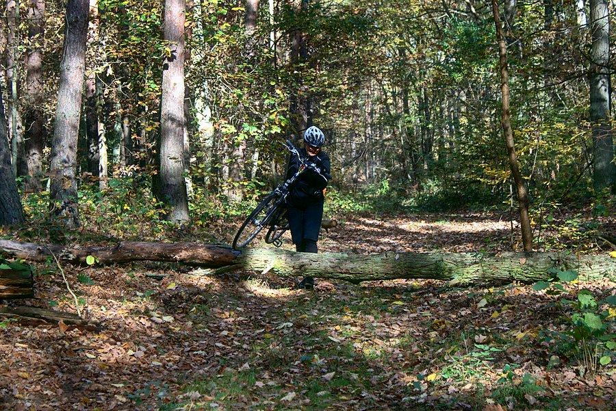 Nieraz i tak bywało