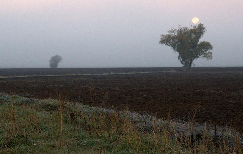 Jednak poranne mgły już się podnoszą