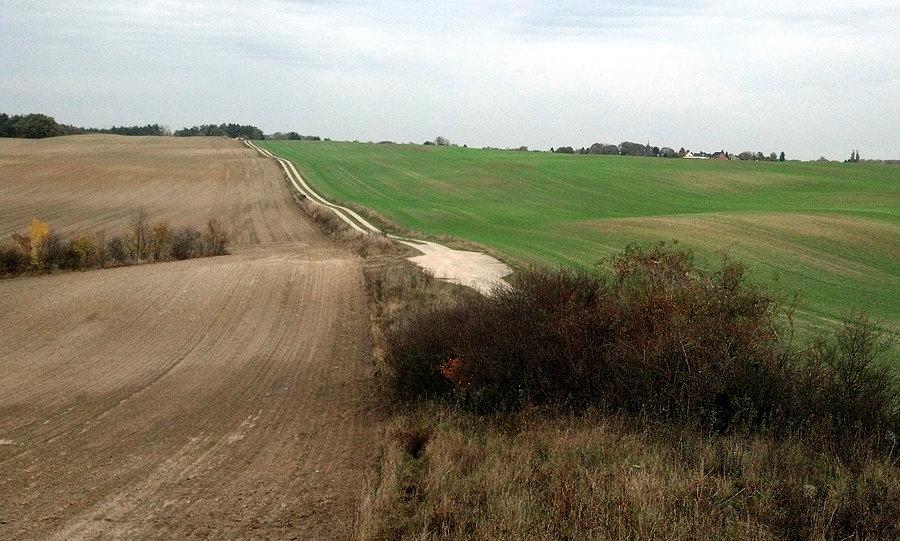 Polna droga w kierunku Blankensee 23 października 13 r